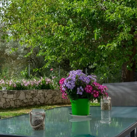 Niki's Country House * Λυγιά