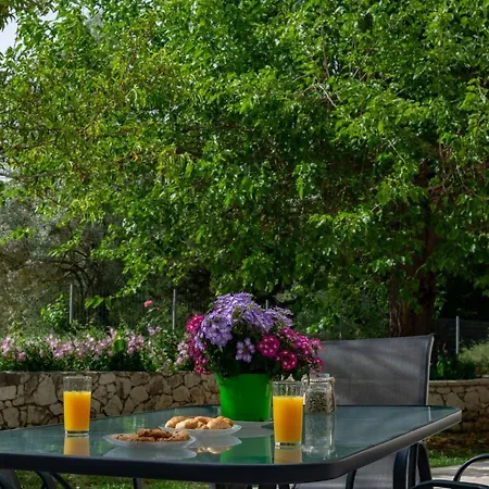 Niki's Country House Λυγιά
